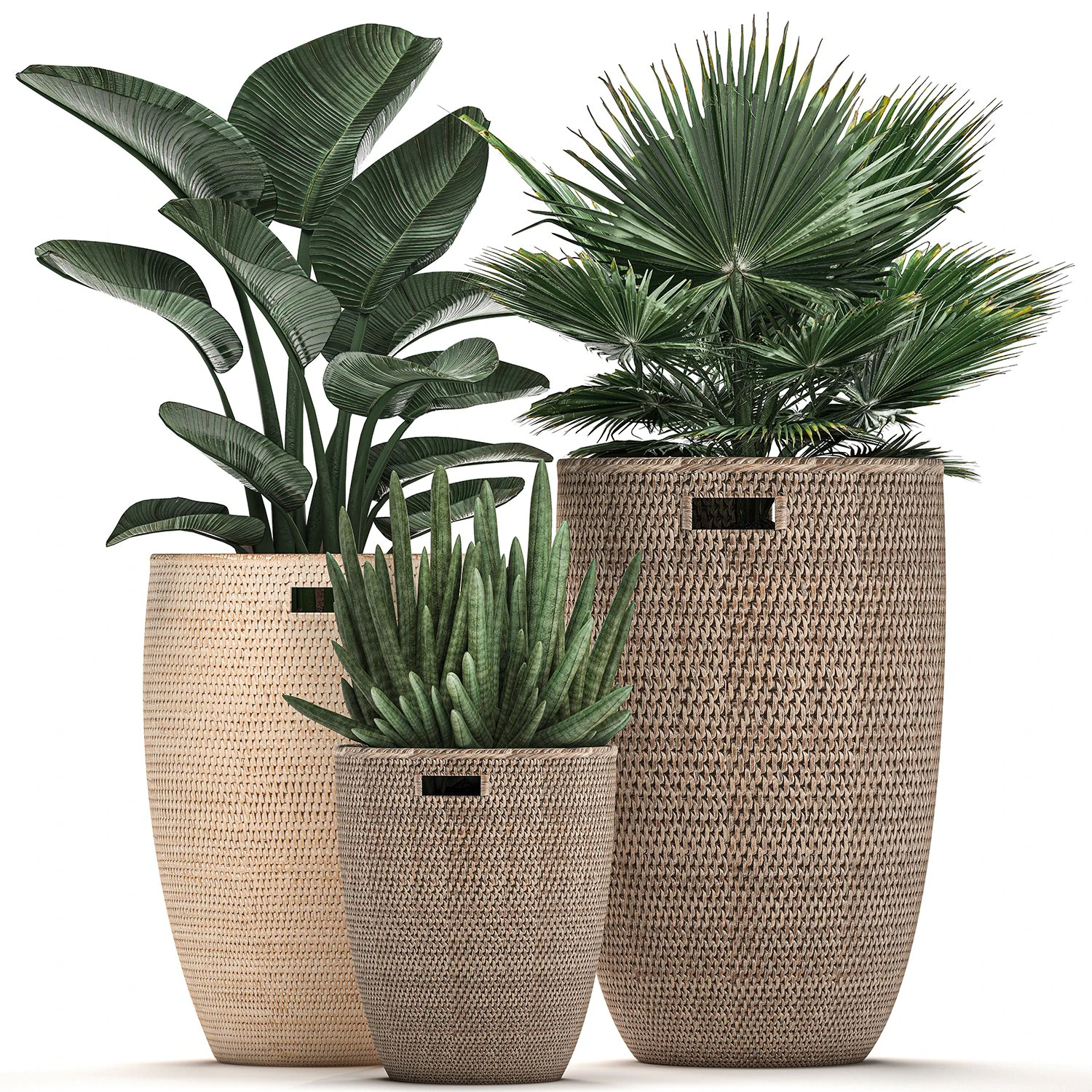 decorative plants in flower pots for the interior 480 3D Model .c4d .max .obj .3ds .fbx .stl .blend 