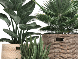 decorative plants in flower pots for the interior 480 3D 模型