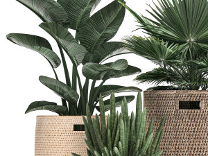 decorative plants in flower pots for the interior 480 3D 模型