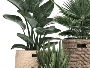 decorative plants in flower pots for the interior 480 3D Model