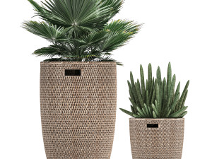 decorative plants in flower pots for the interior 480 3D 模型