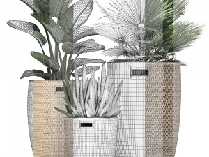 decorative plants in flower pots for the interior 480 3D 模型