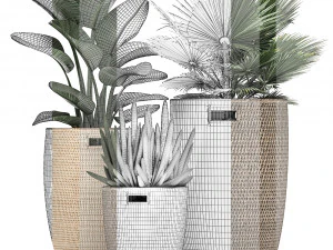 decorative plants in flower pots for the interior 480 3D Model