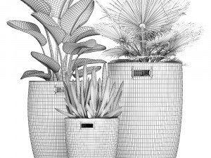 decorative plants in flower pots for the interior 480 3D 模型