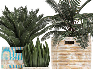 decorative plants in flower pots for the interior 481 3D Model
