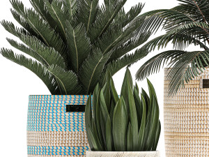 decorative plants in flower pots for the interior 481 3D Model