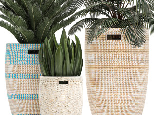 decorative plants in flower pots for the interior 481 3D Model