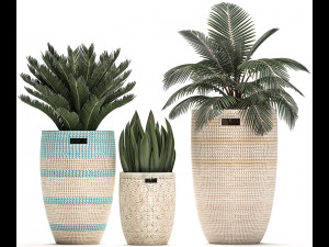 decorative plants in flower pots for the interior 481 3D Model