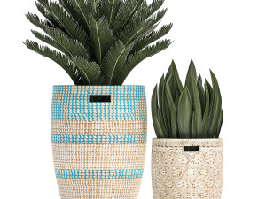 decorative plants in flower pots for the interior 481 3D Model