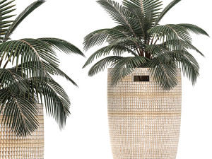 decorative plants in flower pots for the interior 481 3D Model