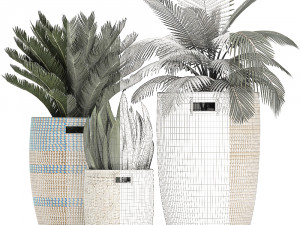 decorative plants in flower pots for the interior 481 3D Model