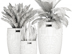 decorative plants in flower pots for the interior 481 3D Model