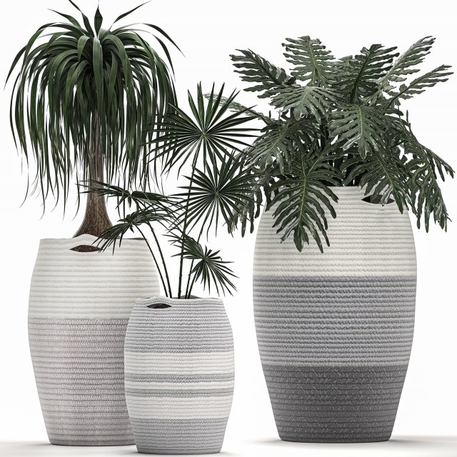 decorative plants in flower pots for the interior 482 Modèle 3D .c4d .max .obj .3ds .fbx .stl .blend