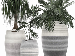 decorative plants in flower pots for the interior 482 3D Model