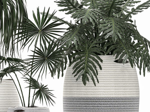 decorative plants in flower pots for the interior 482 Modèle 3D