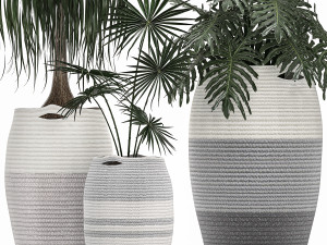 decorative plants in flower pots for the interior 482 Modèle 3D