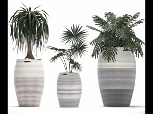 decorative plants in flower pots for the interior 482 Modèle 3D