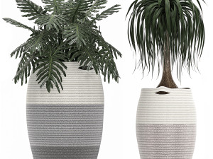 decorative plants in flower pots for the interior 482 Modèle 3D