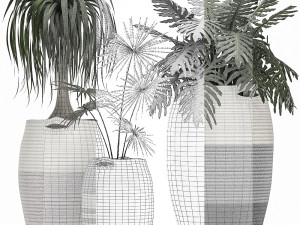 decorative plants in flower pots for the interior 482 Modèle 3D