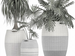 decorative plants in flower pots for the interior 482 Modèle 3D