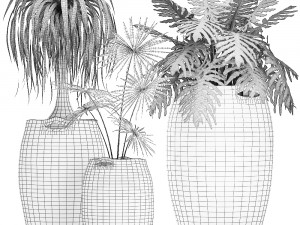 decorative plants in flower pots for the interior 482 Modèle 3D