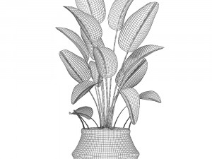 decorative plants in flower pots for the interior 483 3D Modell