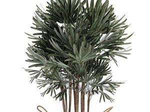 decorative palm tree in rattan basket for interior 484 3D मॉडल