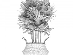 decorative palm tree in rattan basket for interior 484 3D मॉडल
