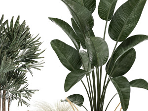decorative plants in flower pots for the interior 485 Model 3D