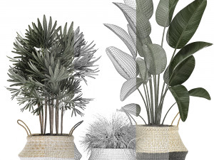 decorative plants in flower pots for the interior 485 Model 3D