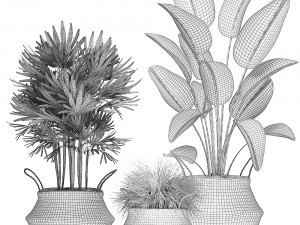 decorative plants in flower pots for the interior 485 Model 3D