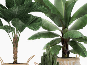 decorative plants in flower pots for the interior 486 3D Model