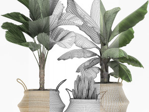 decorative plants in flower pots for the interior 486 3D Model