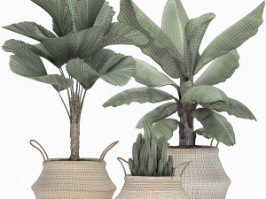 decorative plants in flower pots for the interior 486 3D Model