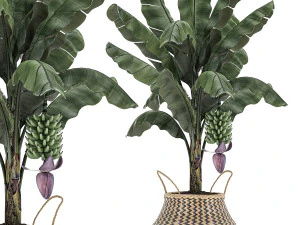 decorative banana tree in a basket for the interior 487 3D Model