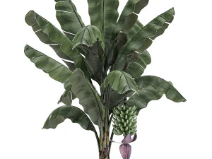 decorative banana tree in a basket for the interior 487 3D Model