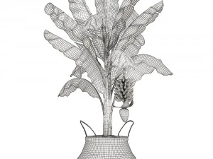 decorative banana tree in a basket for the interior 487 3D Model