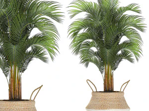 decorative banana tree in a basket for the interior 488 3D Model