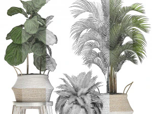 decorative banana tree in a basket for the interior 488 3D Model