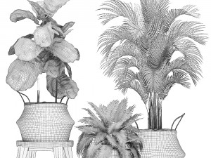 decorative banana tree in a basket for the interior 488 3D Model