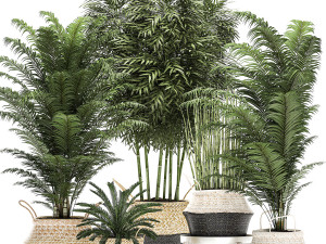 ravenala palm in a rust pot for the interior 963 3D Model in Small Plants  3DExport
