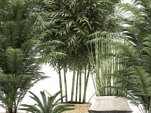 decorative plants in a basket for the interior 489 Modello 3D
