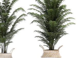 decorative plants in a basket for the interior 489 Modello 3D