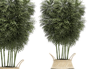 decorative plants in a basket for the interior 489 Modello 3D