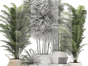 decorative plants in a basket for the interior 489 Modello 3D