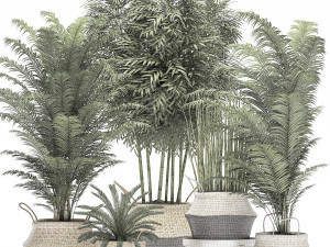 decorative plants in a basket for the interior 489 Modello 3D