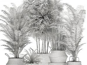 decorative plants in a basket for the interior 489 Modello 3D