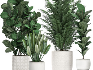 decorative plants in a white pot for the interior 490 3D Модель