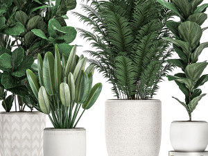 decorative plants in a white pot for the interior 490 3D मॉडल
