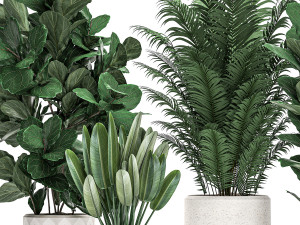 decorative plants in a white pot for the interior 490 3D मॉडल